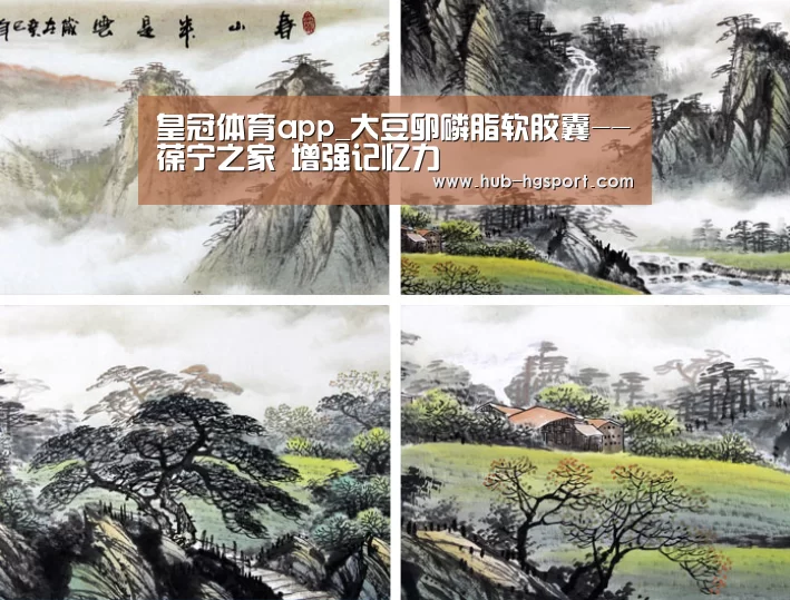皇冠体育app_大豆卵磷脂软胶囊--葆宁之家 增强记忆力(图4) 皇冠体育网址