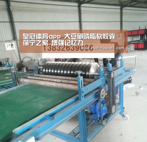 皇冠体育app_大豆卵磷脂软胶囊--葆宁之家 增强记忆力(图3) 皇冠体育官网