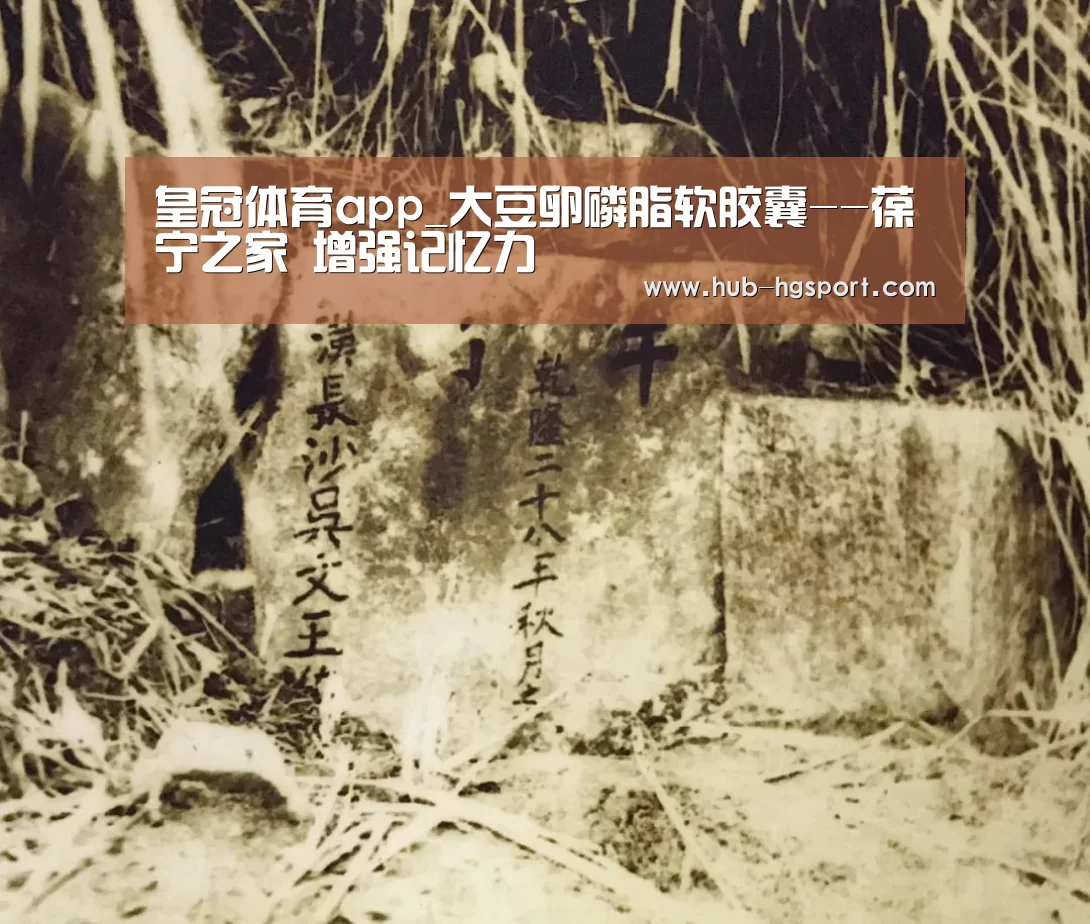 皇冠体育app_大豆卵磷脂软胶囊--葆宁之家 增强记忆力(图2) 皇冠体育网址