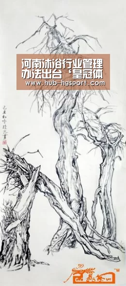 皇冠体育app