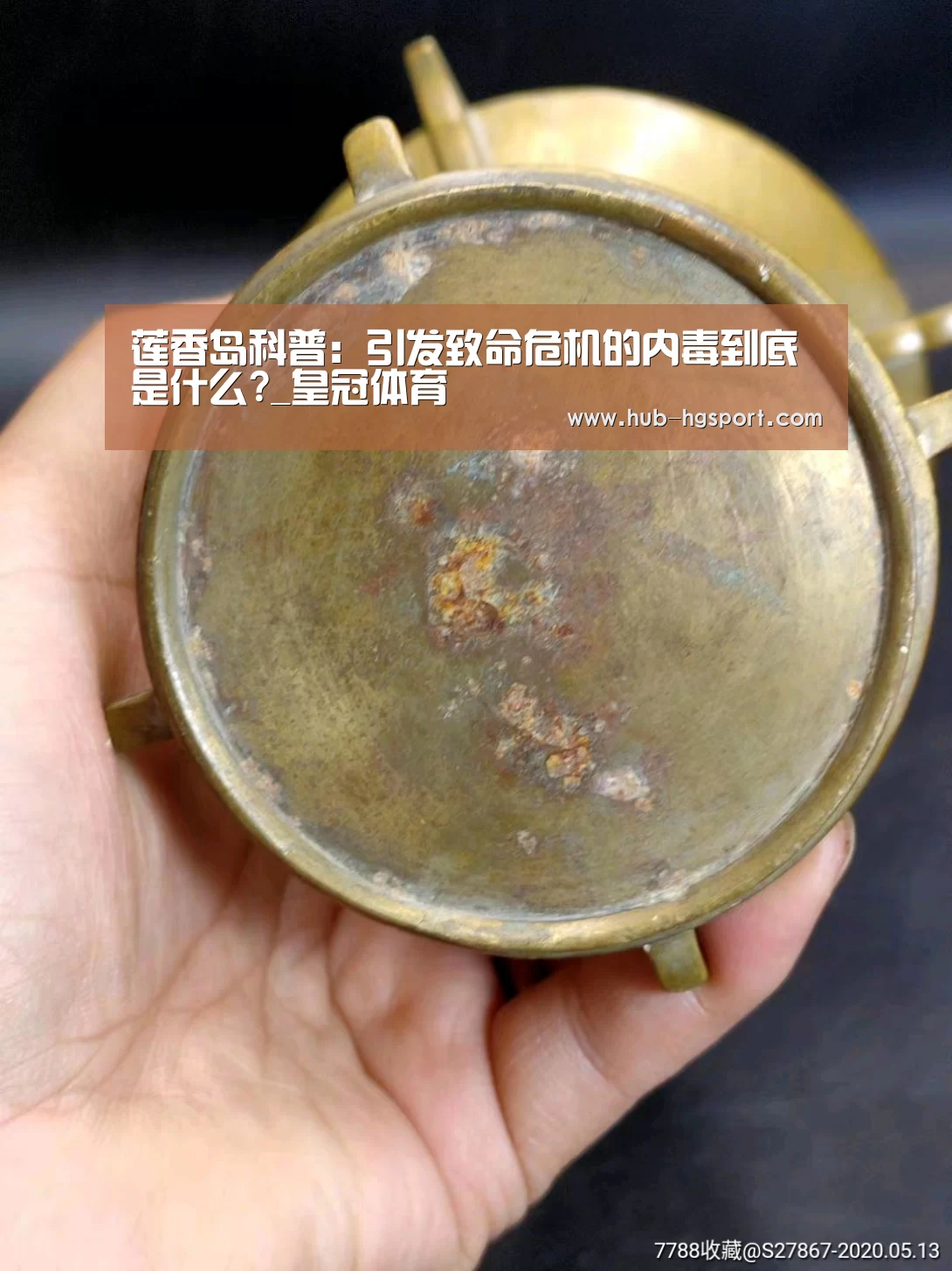 莲香岛科普:引发致命危机的内毒到底是什么?_皇冠体育(图1) 皇冠体育官网